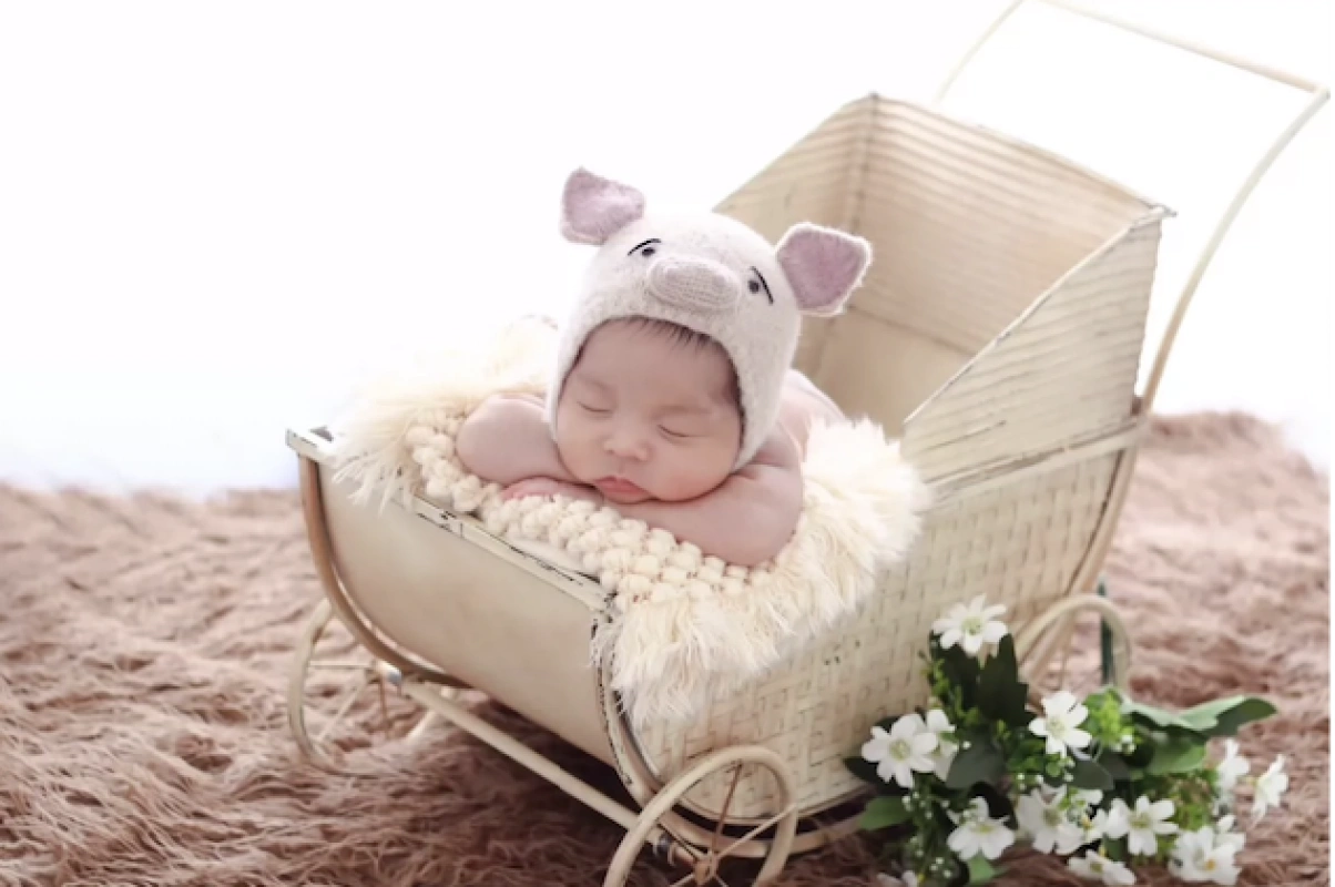 Newborn Baby Buggy Pram Stroller Prop